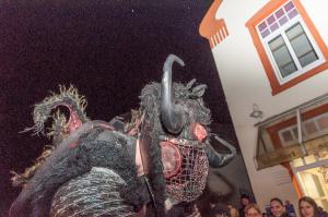 AO DSC 2966